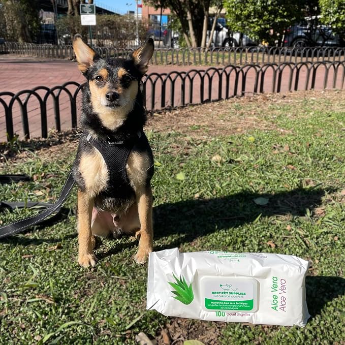 Best Pet Supplies Pet Wipes for Dogs - Image 6