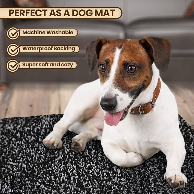 Premium Microfiber Indoor Door Mat – 20"x30" Washable Entry Mat, Waterproof - Image 2