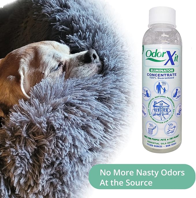 Concentrated Pet Urine Odor Eliminator, Dog Poo and Urine Smell, Versatile & - Image 2