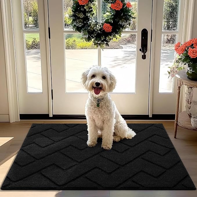hicorfe Front Door Mat Outside Entrance, Stain and Fade Resistant, Non Slip by Hicorfe