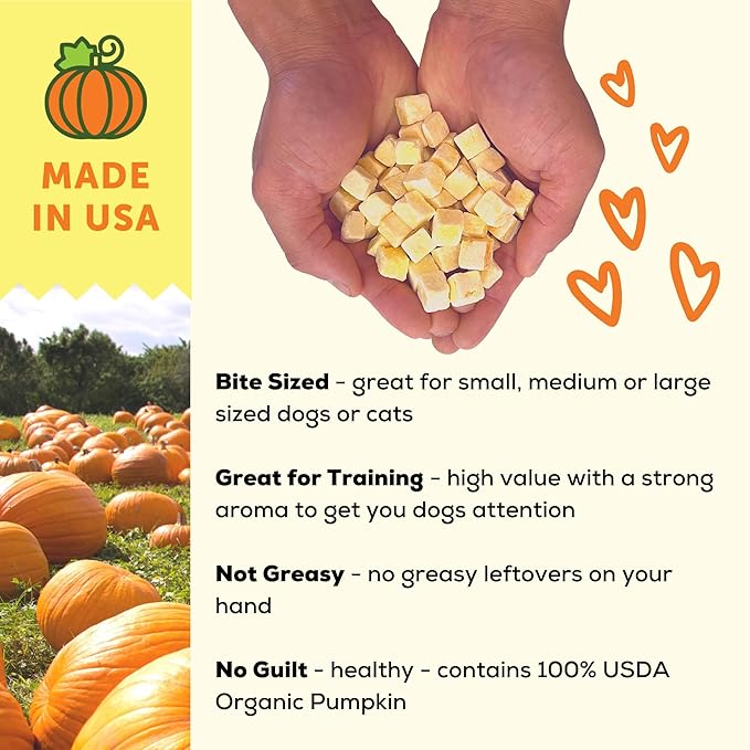 A Better Treat – Freeze Dried Organic Pumpkin Dog and Cat Treats, Single - Image 4