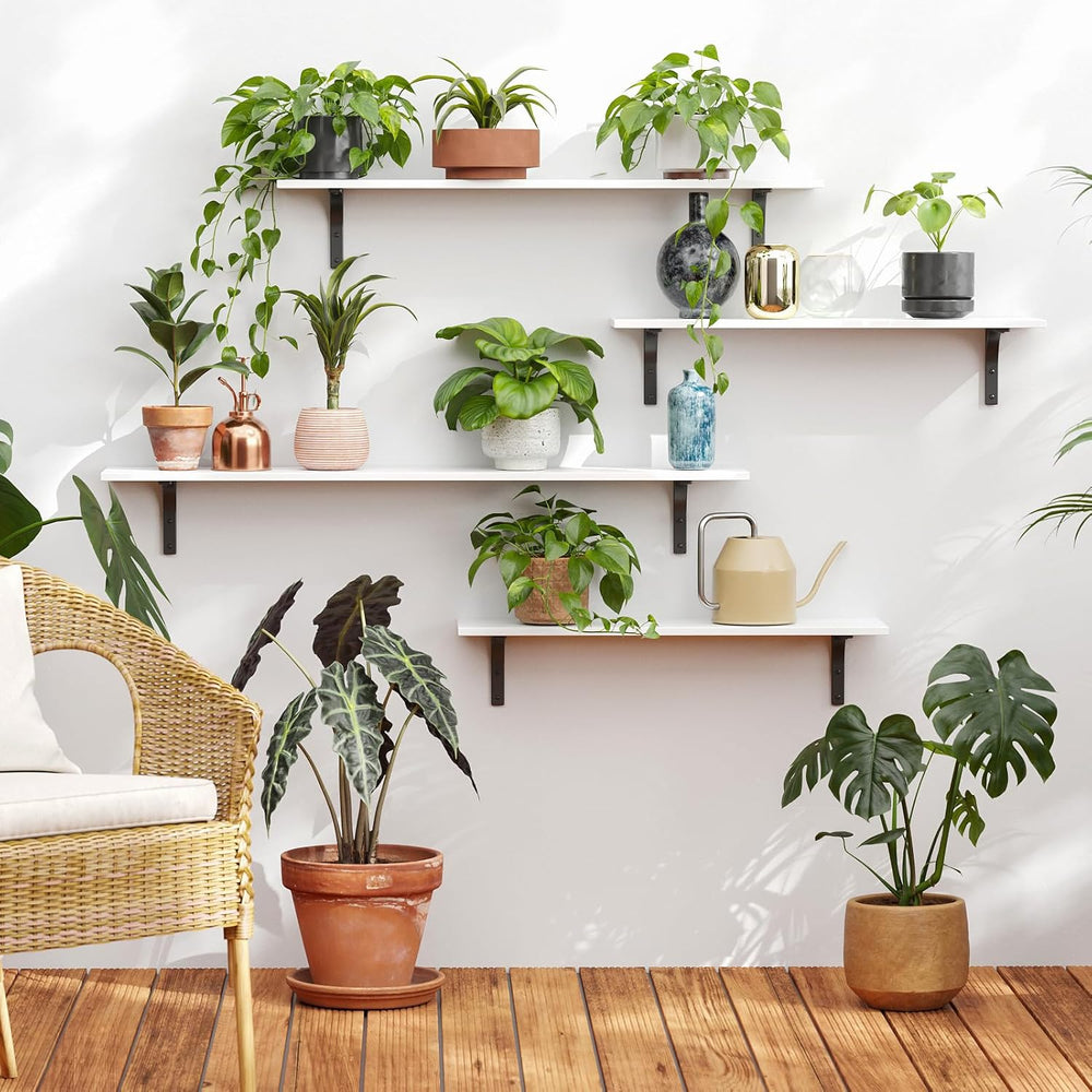 DINZI LVJ Long Wall Shelves, 47.3Inch Wooden Wall Mounted Shelves, Set of 2