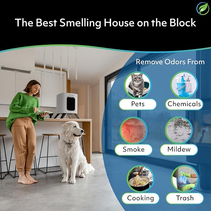 Air Oasis iAdaptAir 2.0 H13 HEPA Filter Air Purifier Reduces 99% of Viruses - Image 7