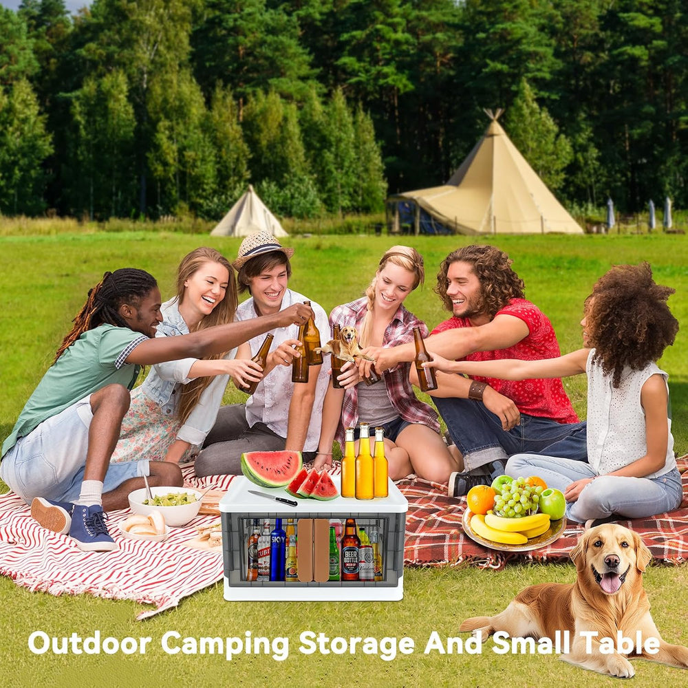 Storage Bin, Foldable Cabinet, 8.4 Gallon (32L) Capacity (Each One), 2 Packs,...