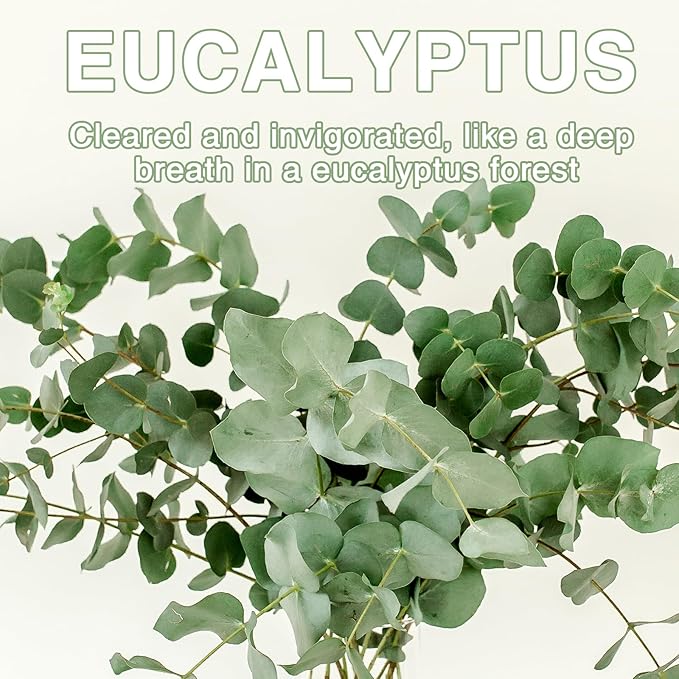 15 Packs Eucalyptus Scented Sachets Bag - Image 8