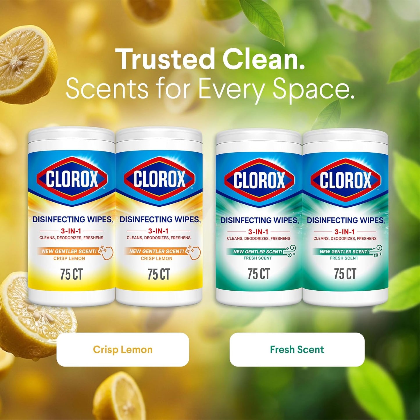 Clorox Disinfecting Wipes Back to School Variety Pack, 75 Count Each, Pack of 4 (Package May Vary)