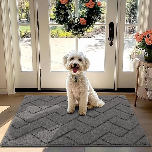 hicorfe Front Door Mat Outside Entrance, Stain and Fade Resistant, Non Slip by Hicorfe