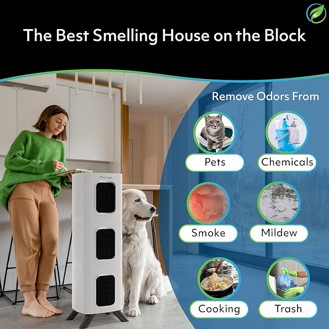 Air Oasis iAdaptAir 2.0 H13 HEPA Filter Air Purifier Reduces 99% of Viruses - Image 7