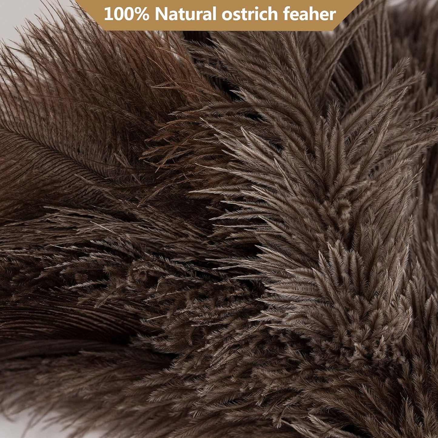 Aldwin Ostrich Feather Duster, 16 inch Ostrich Feather Duster with Wood Handle Reusable, Fluffy Natural Genuine Handheld Feather Duster for Cleaning Supplies, Home, Car, Office