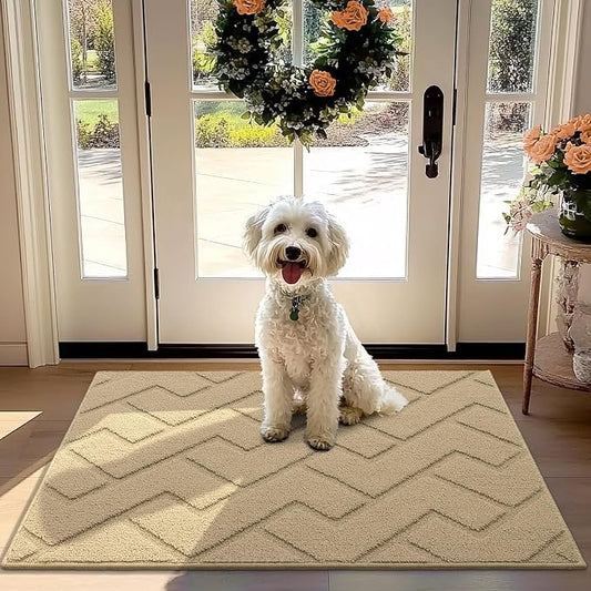 hicorfe Front Door Mat Outside Entrance, Stain and Fade Resistant, Non Slip by Hicorfe