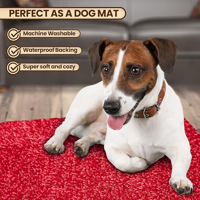 Premium Microfiber Indoor Door Mat – 20"x30" Washable Entry Mat, Waterproof - Image 2