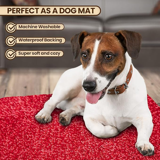 Premium Microfiber Indoor Door Mat – 20"x30" Washable Entry Mat, Waterproof - Image 2