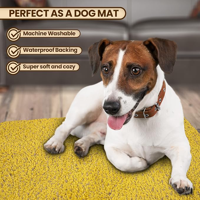 Premium Microfiber Indoor Door Mat – 24"x36" Washable Entry Mat, Waterproof - Image 6