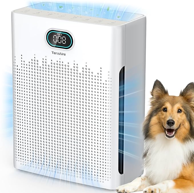 Air Purifiers for Home Cover Up to 2200 Ft², HEPA Air Purifier by Unknown
