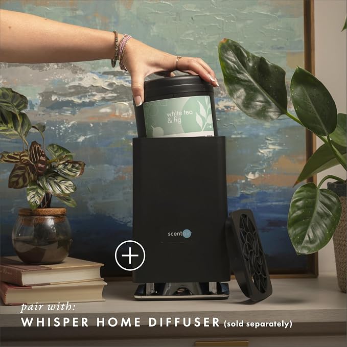ScentAir Whisper Home Monthly Plug-in Refill, Fragrance Cartridge - Image 3