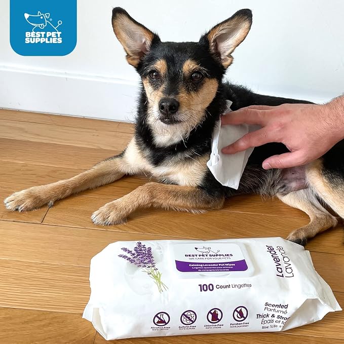 Best Pet Supplies Pet Wipes for Dogs - Image 2