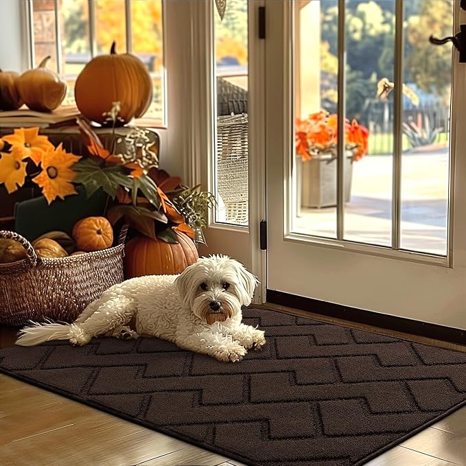 hicorfe Indoor Door Mat, Non Slip Door Mats, Absorbent Resist Dirt Entrance by Hicorfe