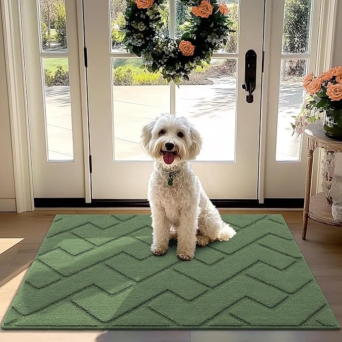 hicorfe Front Door Mat Outside Entrance, Stain and Fade Resistant, Non Slip by Hicorfe
