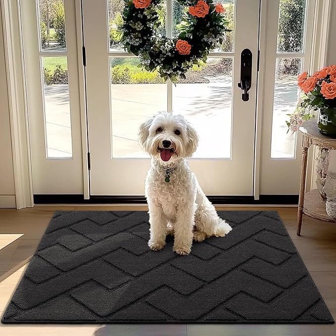 hicorfe Front Door Mat Outside Entrance, Stain and Fade Resistant, Non Slip by Hicorfe