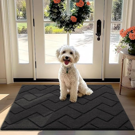 hicorfe Front Door Mat Outside Entrance, Stain and Fade Resistant, Non Slip by Hicorfe
