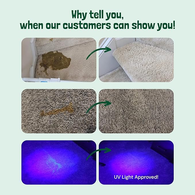 Sunny & Honey Pet Stain & Odor Miracle - Image 2