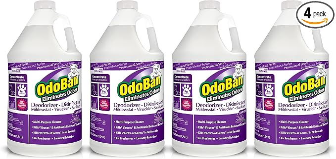 OdoBan Professional Disinfectant and Odor Eliminator Concentrate, Made in the by OdoBan