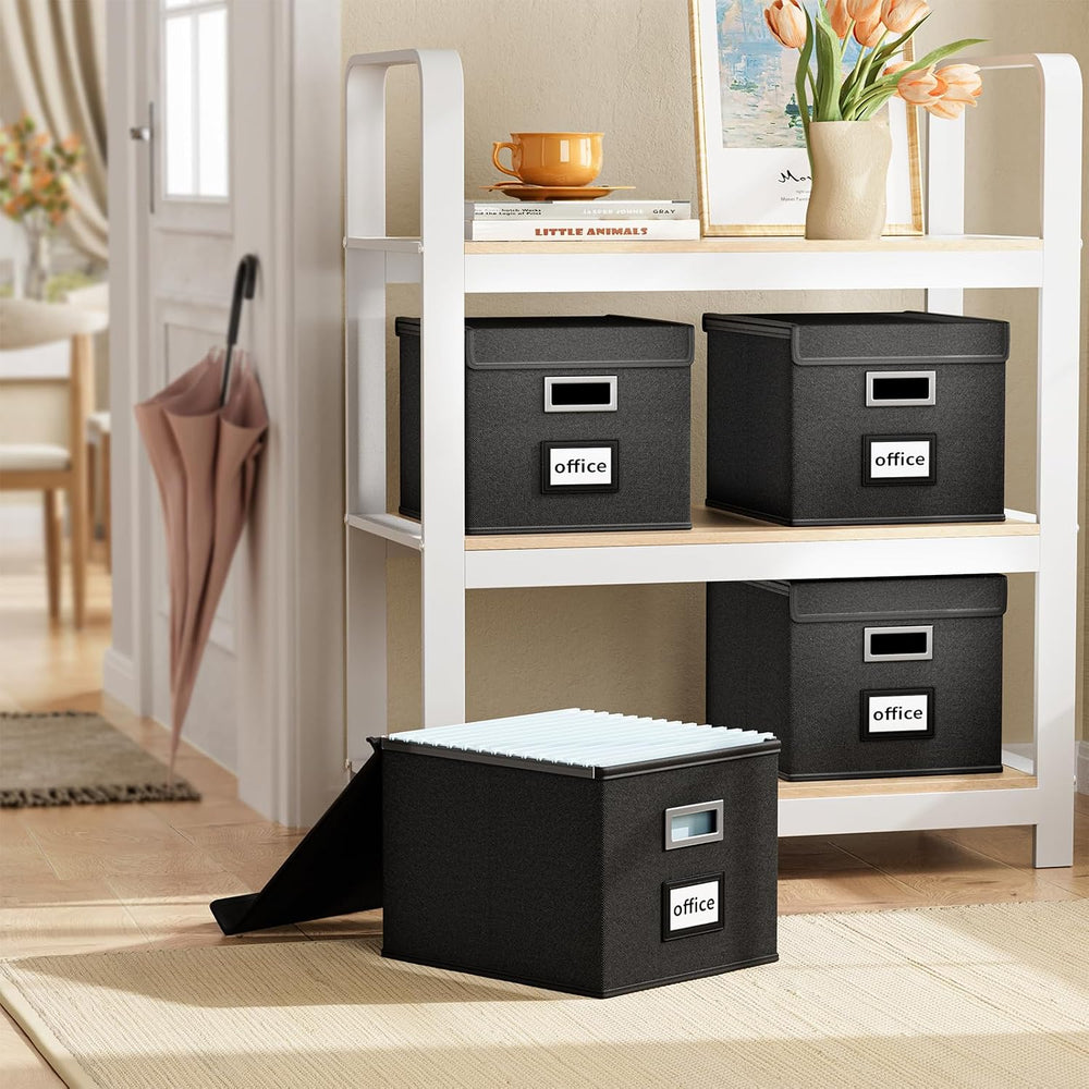 File Organizer Box with Lids, Collapsible File Folder Organizer