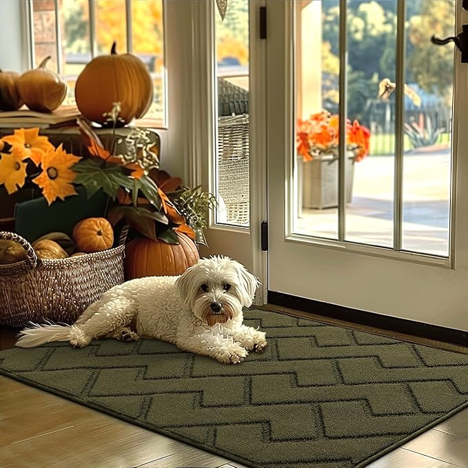 hicorfe Indoor Door Mat, Non Slip Door Mats, Absorbent Resist Dirt Entrance by Hicorfe