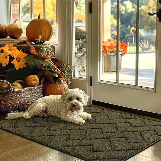 hicorfe Indoor Door Mat, Non Slip Door Mats, Absorbent Resist Dirt Entrance by Hicorfe
