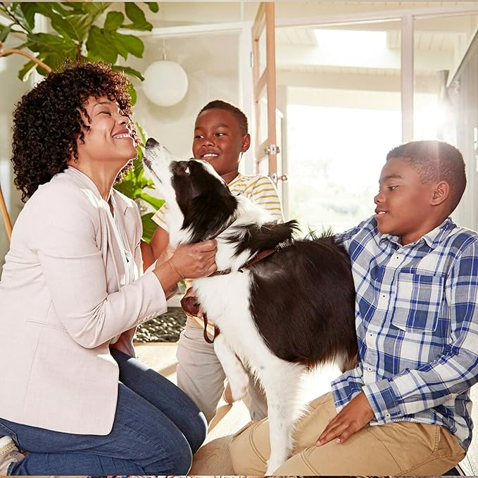 Filtrete 20x24x1 AC Furnace Air Filter, MERV 13, MPR 1900, Premium Allergen - Image 11