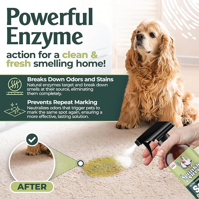 Enzyme Cleaner for Cat Urine | Cat Pee Odor Eliminator & Stain Remover | Dog - Image 2