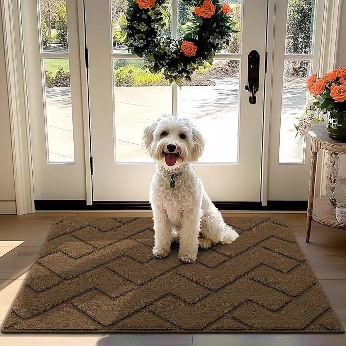 hicorfe Front Door Mat Outside Entrance, Stain and Fade Resistant, Non Slip by Hicorfe