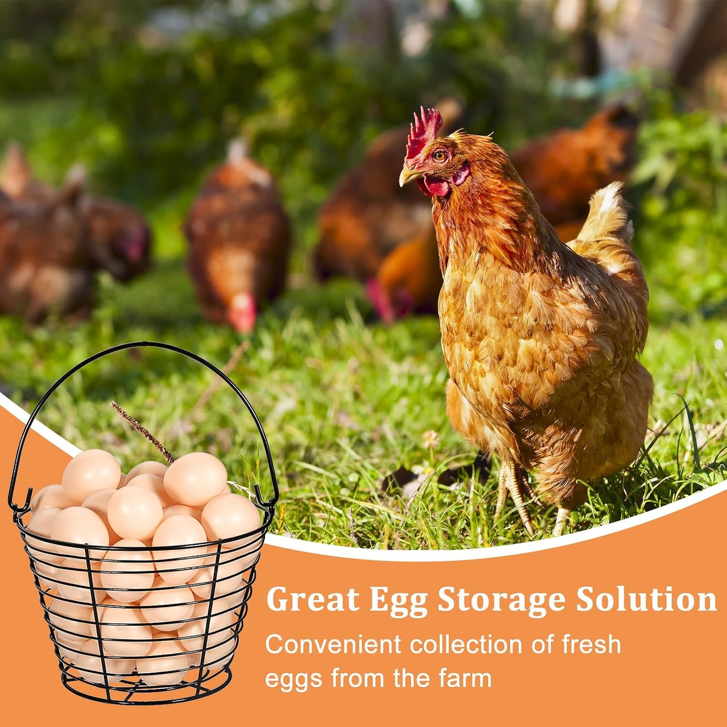 3 PCS 8" Black Round Wire Egg Baskets With Handle Egg Collecting Basket | Small Metal Egg Basket for Gathering Fresh Eggs, Chicken and Duck Eggs Hunting Basket Egg Holder Countertop
