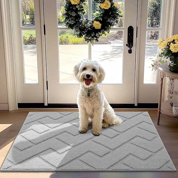 hicorfe Front Door Mat Outside Entrance, Stain and Fade Resistant, Non Slip by Hicorfe