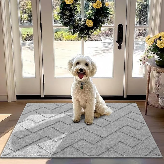 hicorfe Front Door Mat Outside Entrance, Stain and Fade Resistant, Non Slip by Hicorfe
