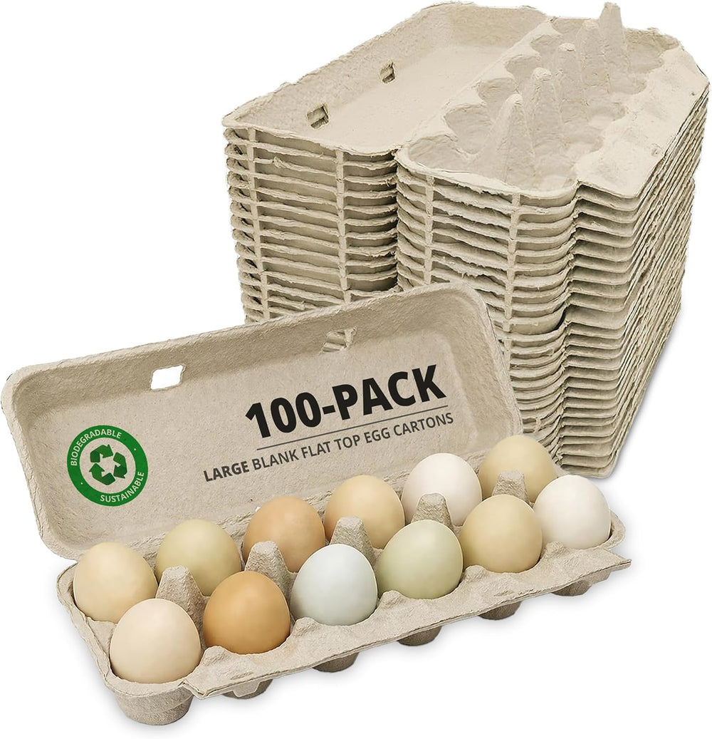 Stromberg's Large Blank Flat Top Chicken Egg Cartons, 100 Pack
