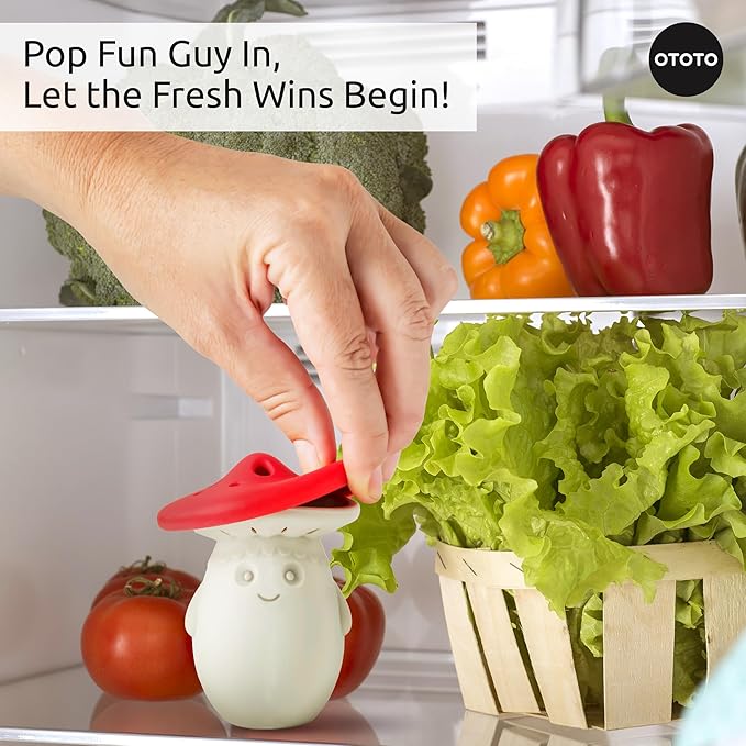 Fridge Deodorizer by OTOTO - Image 4
