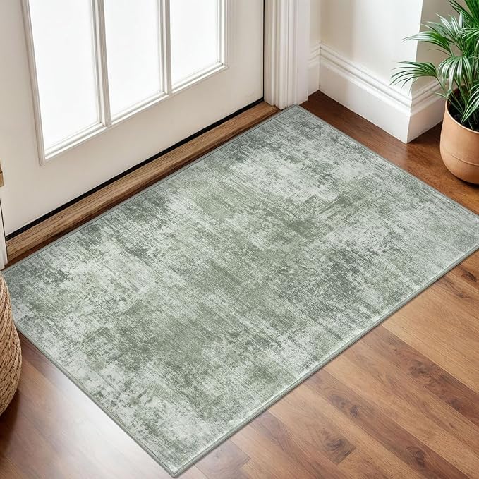 IOHOUZE Small Abstract Area Rug 2x3 Ft Entryway Rugs Washable Door Mat Indoor by iOhouze
