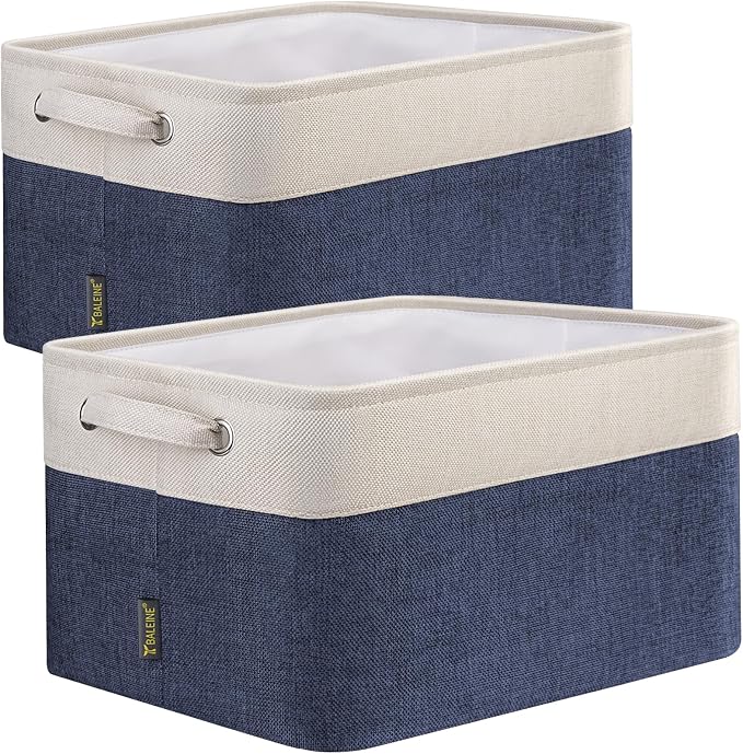 BALEINE 2 Pack Fabric Storage Bins by BALEINE