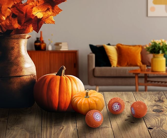 Arm & Hammer Odor Busterz Pumpkin Cream - Image 5