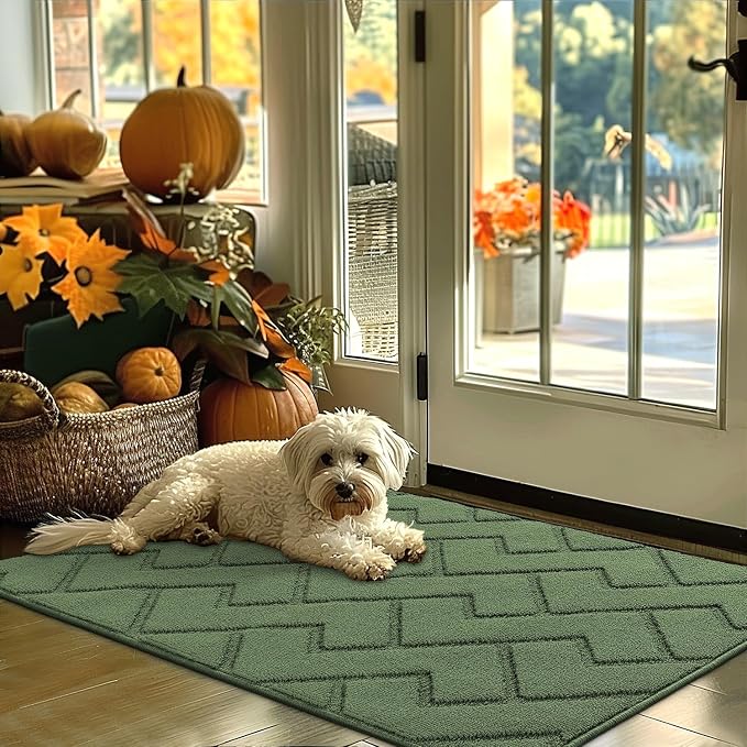 hicorfe Indoor Door Mat, Non Slip Door Mats, Absorbent Resist Dirt Entrance by Hicorfe