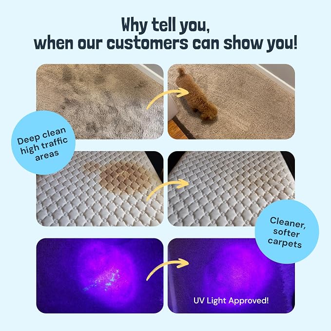 Sunny & Honey Carpet Cleaner Solution - Image 2