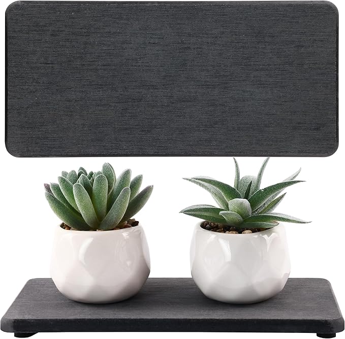 2 Pcs Water Absorbing Stone Trays, Kitchen/Bathroom Sink Soap Dish, Diatomite by NiuYichee