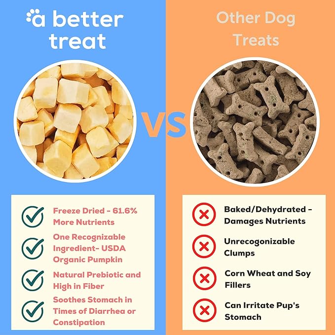 A Better Treat – Freeze Dried Organic Pumpkin Dog and Cat Treats, Single - Image 2