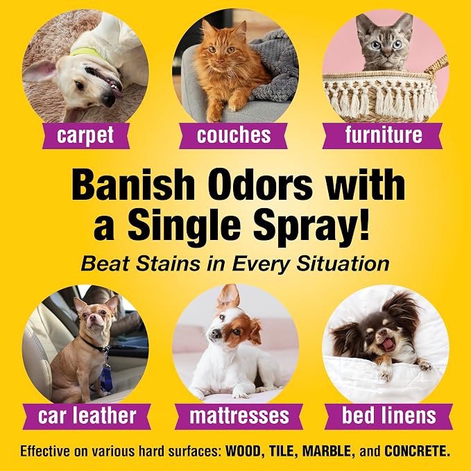 Pet Carpet Cleaner & Urine Odor Eliminator - Image 6