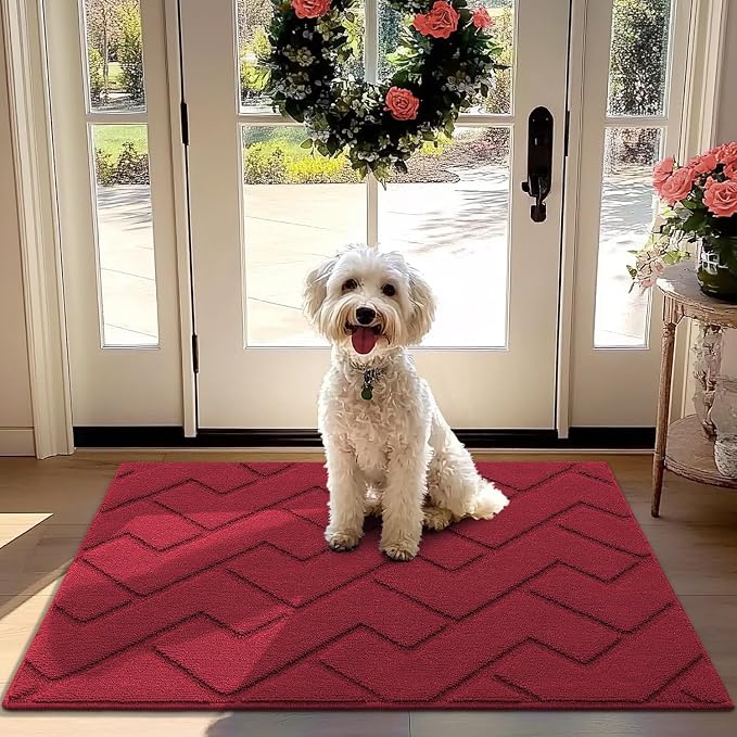 hicorfe Front Door Mat Outside Entrance, Stain and Fade Resistant, Non Slip by Hicorfe