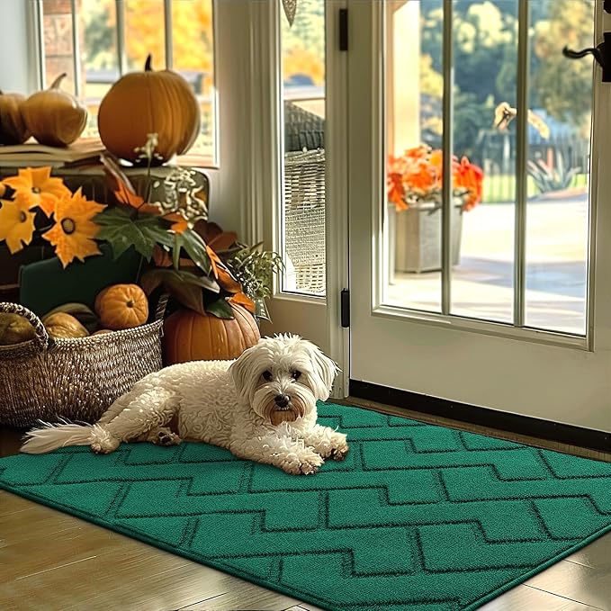 hicorfe Indoor Door Mat, Non Slip Door Mats, Absorbent Resist Dirt Entrance by Hicorfe
