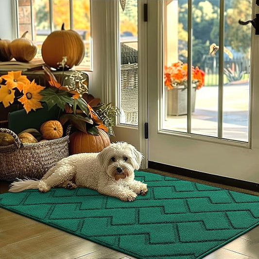 hicorfe Indoor Door Mat, Non Slip Door Mats, Absorbent Resist Dirt Entrance by Hicorfe