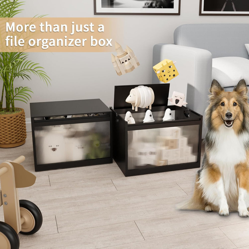 Bamboo Hanging File Organizer, Desktop File Box with Lids, 2 Pack, Black