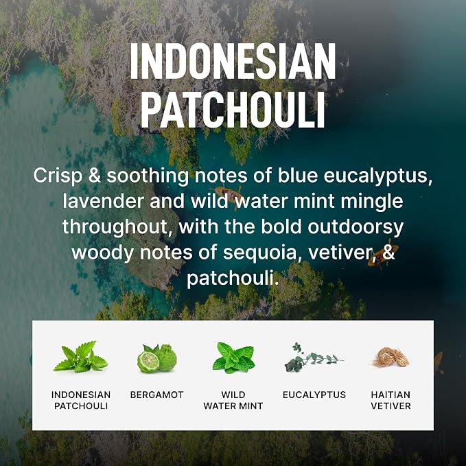 Laundry Sauce - Signature Bundle Indonesian Patchouli, Scented Laundry - Image 6